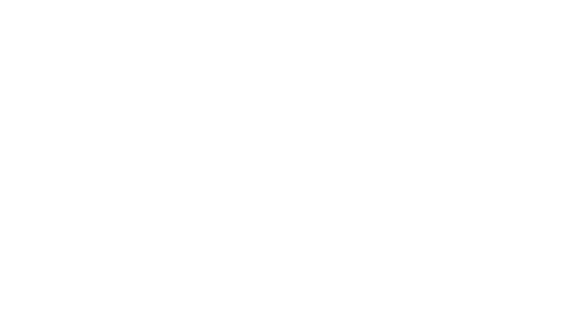 Main Camp Logo