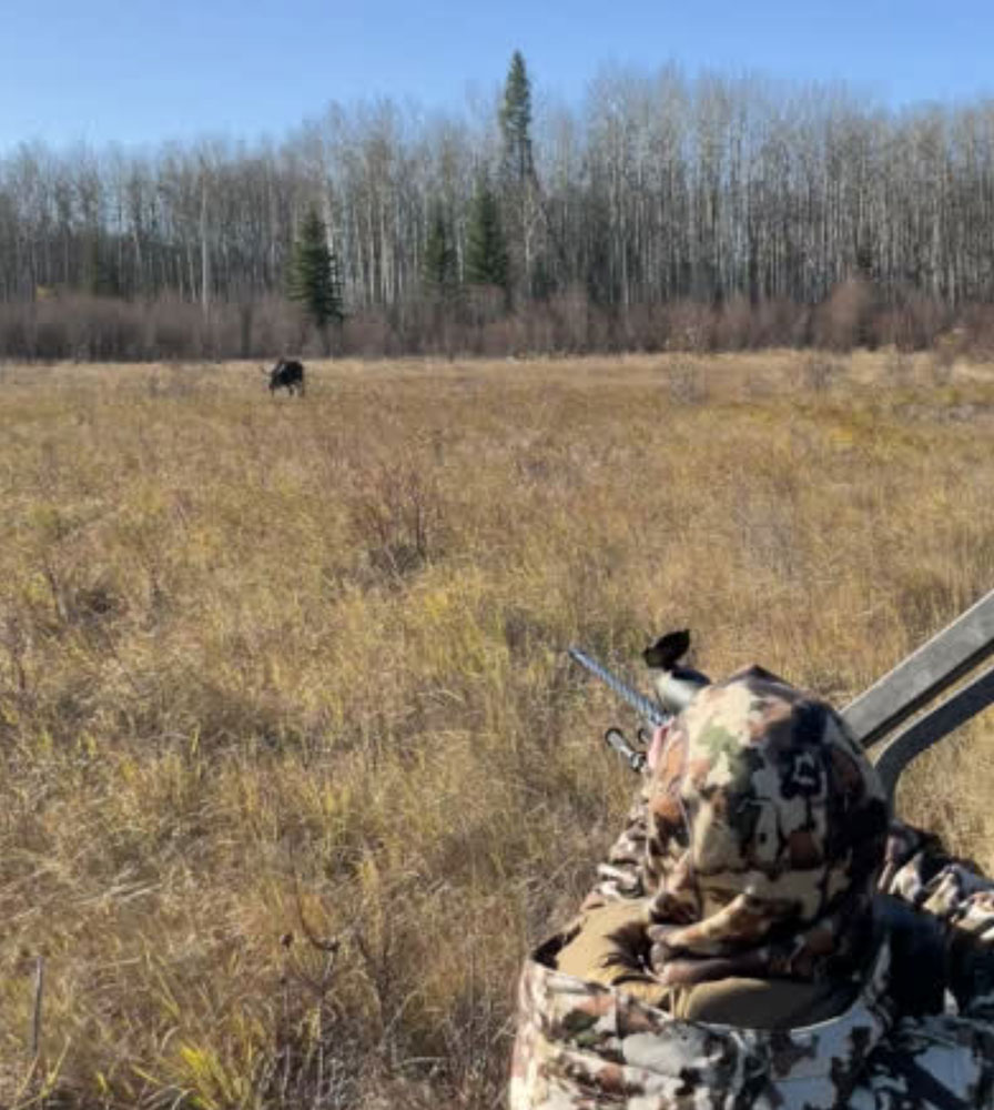 Moose Hunt Canada