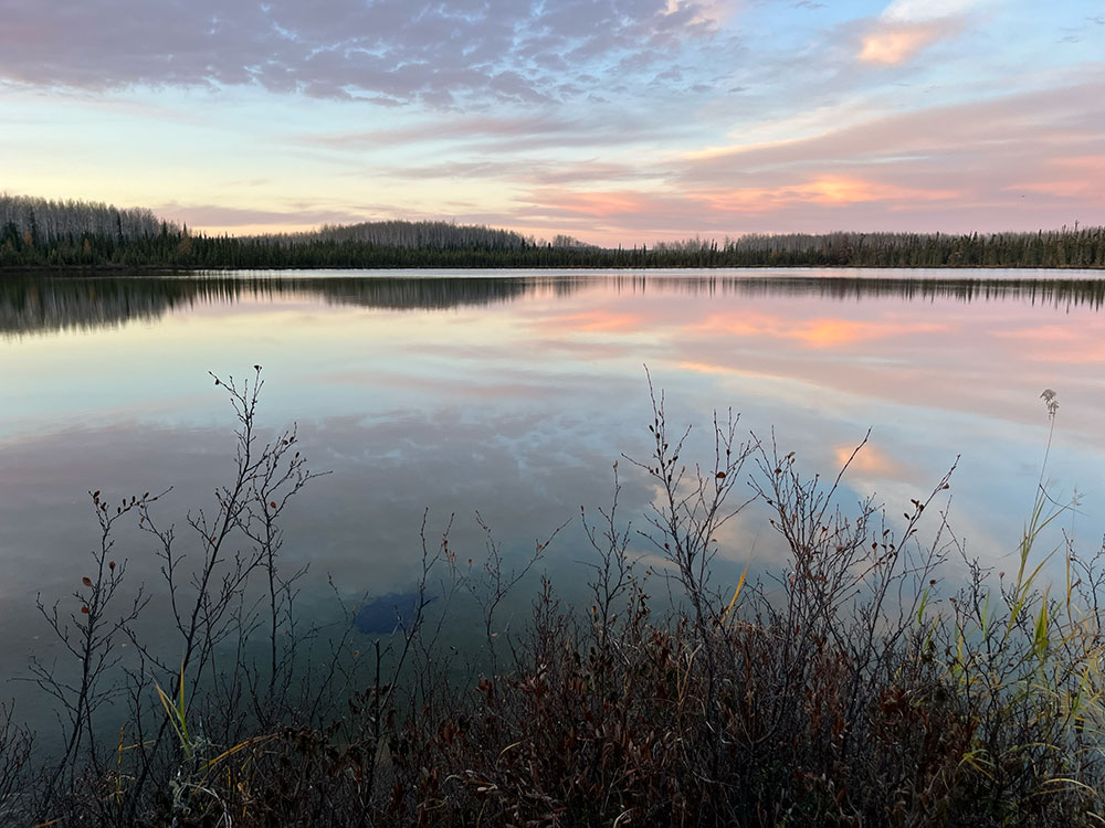 Moose Hunt Canada