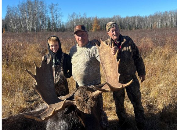 Background sections - 10